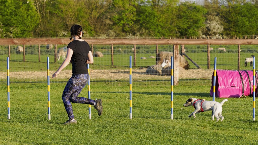 Img 2488