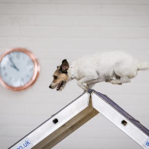 Dfa171fe a573 44ad 90c0 aeb84efe39fa