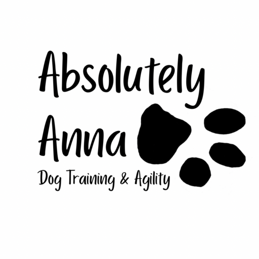 Cropped Absolutely Anna 2.png